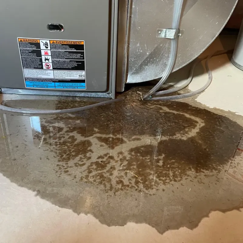 Appliance Leak Cleanup in Kaunakakai, HI